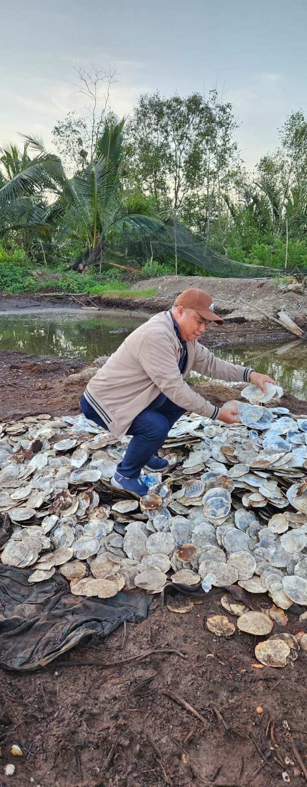 Central Java Cilacap Shells 1