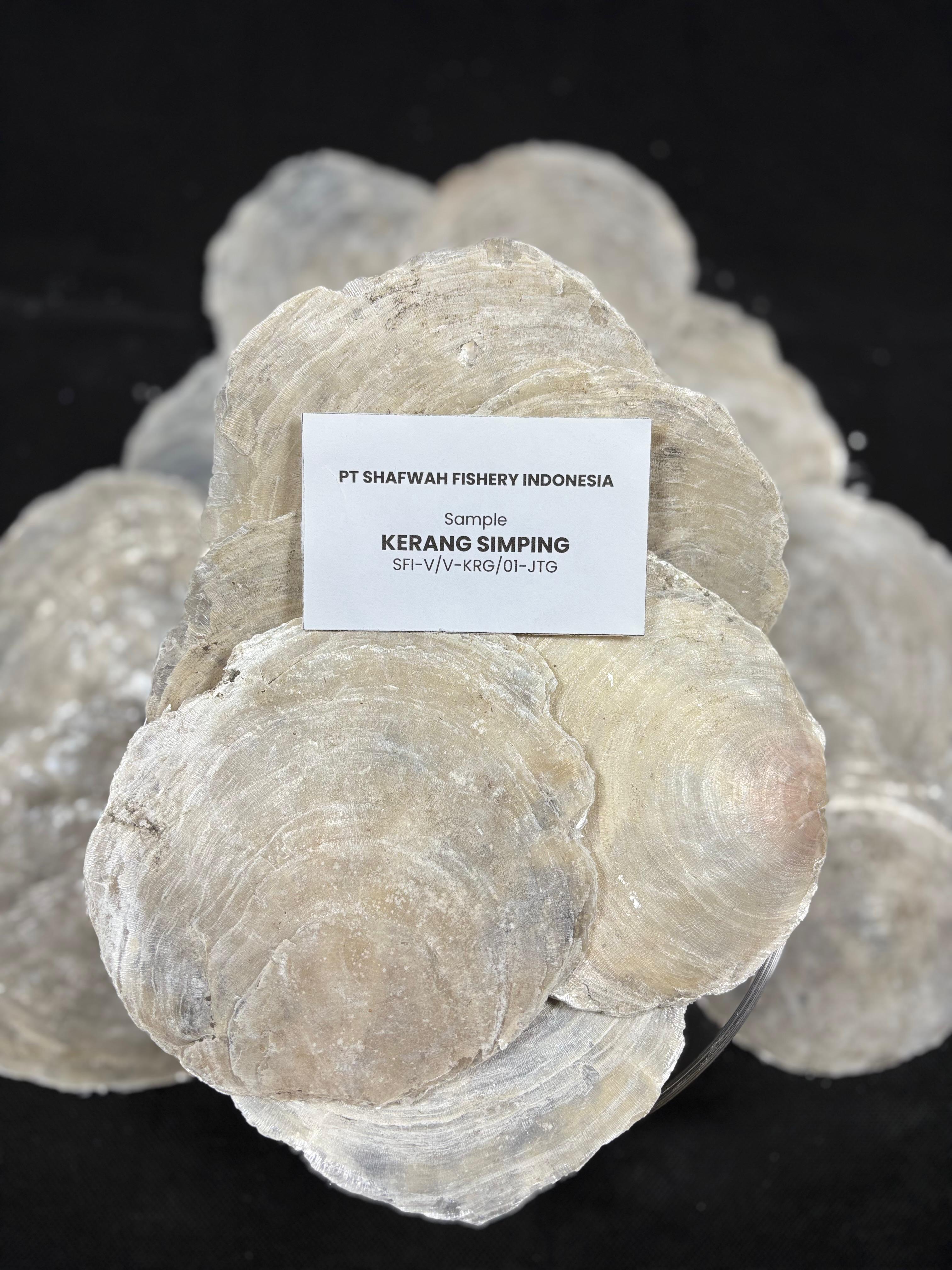 General Introduction to Calcium Carbonate – Sources, Types, and Its Multifunctional Properties